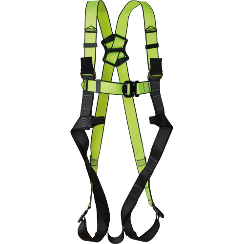 oGJCsDXX3EOwNXI5wXaoaQ_0652227