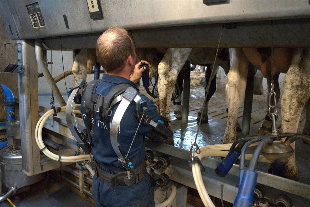 Skelex 360-Boer, koeien Melken met de Skelex 360!