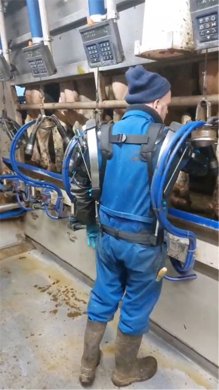 Skelex 360 op de boerderij, melken van koeien met de Skelex